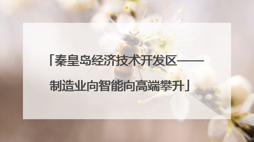 秦皇岛经济技术开发区——制造业向智能向高端攀升
